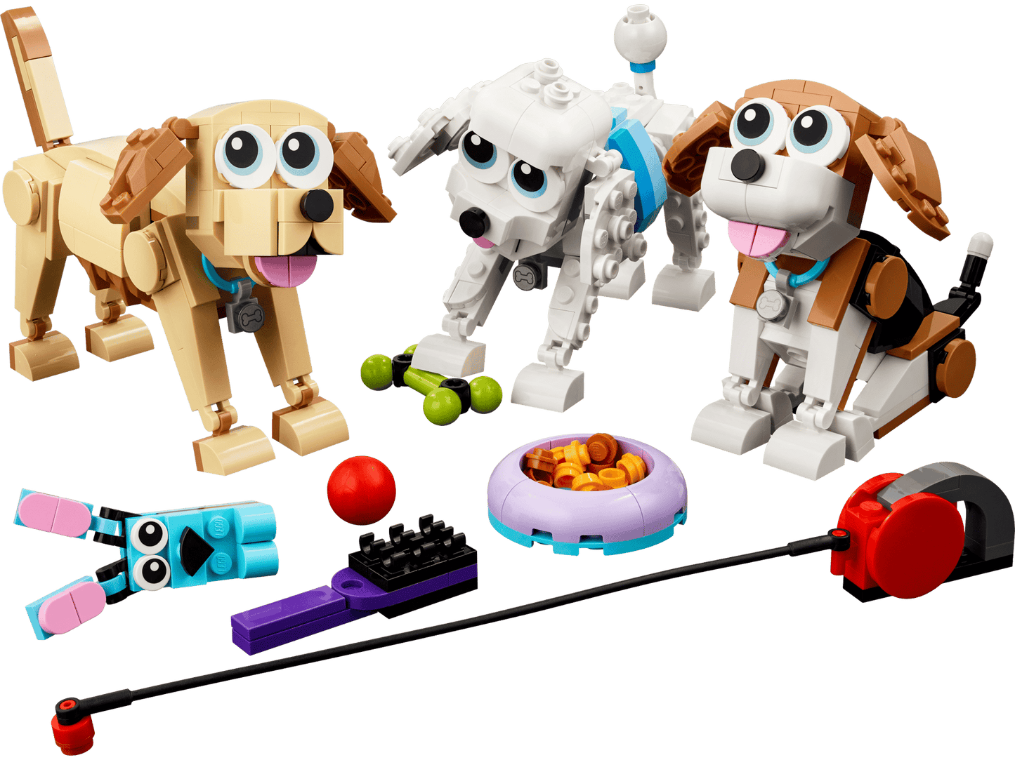 Adorable Dogs | 31137