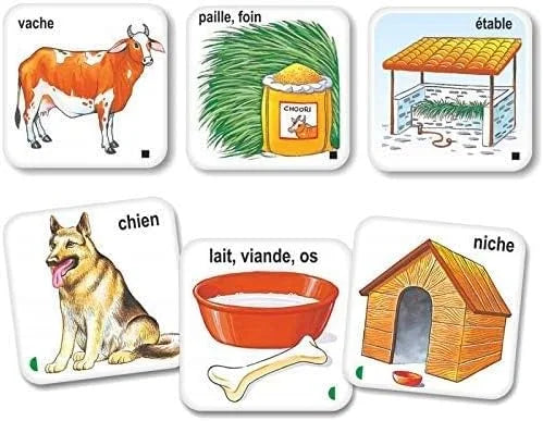CREATIVE Les Animaux Leurs Habitats