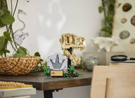 Dinosaur Fossils: T. rex Skull | 76964