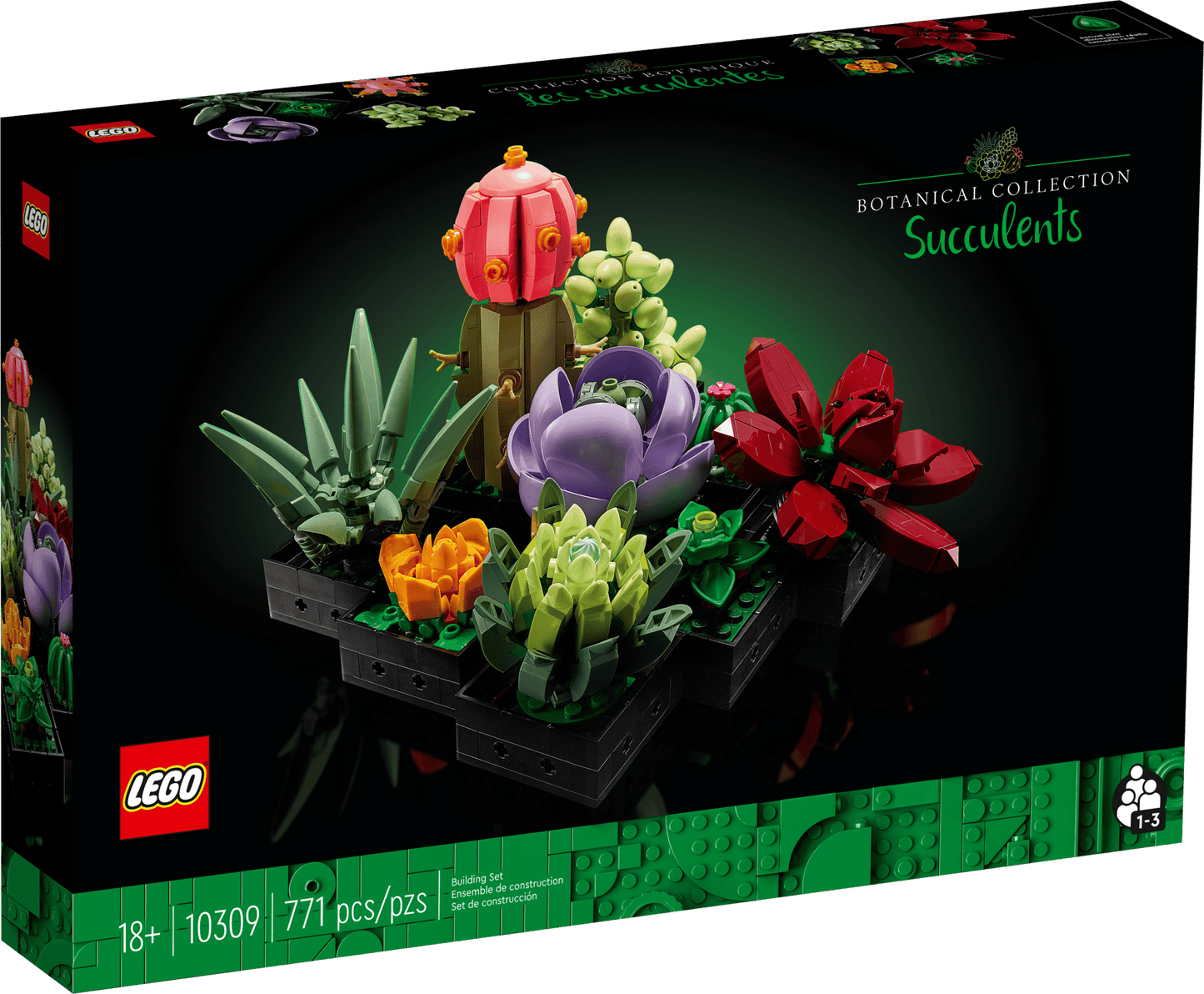 Succulents | 10309