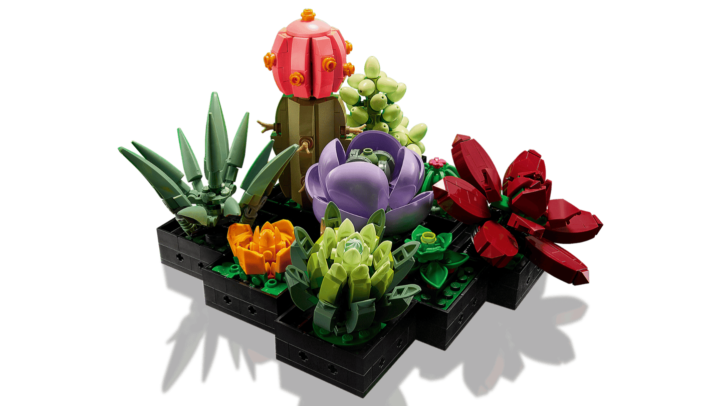 Succulents | 10309
