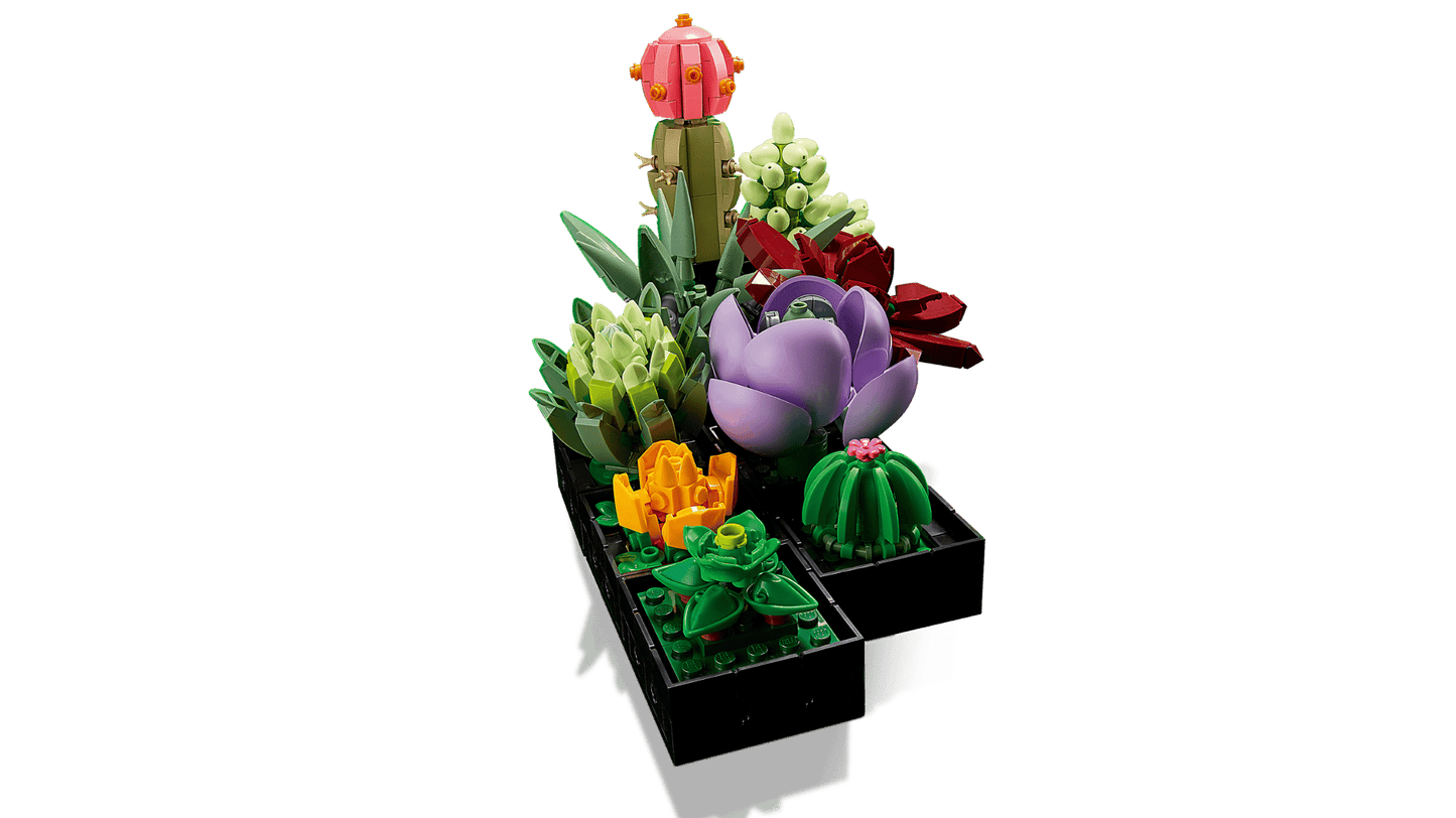 Succulents | 10309