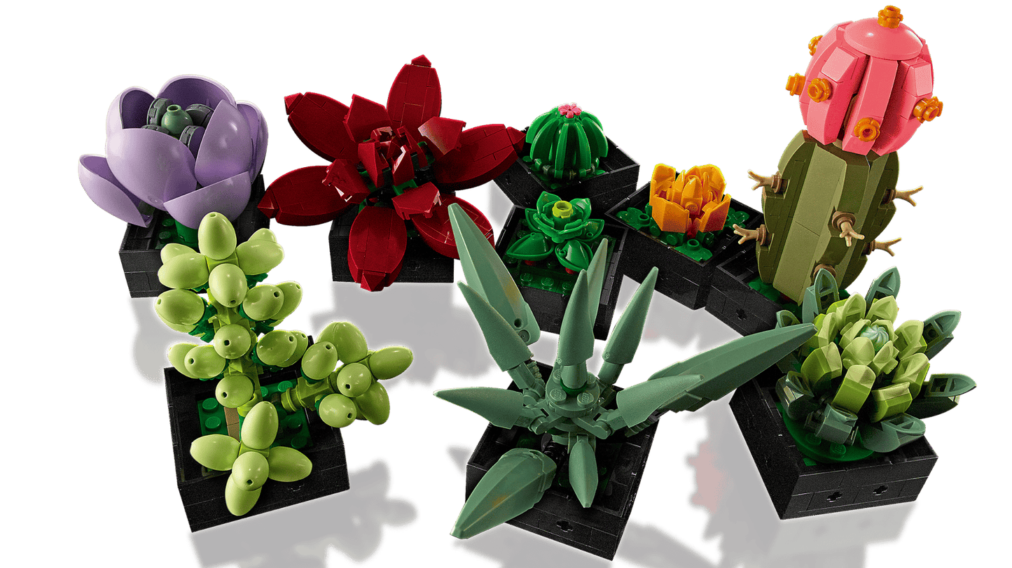 Succulents | 10309