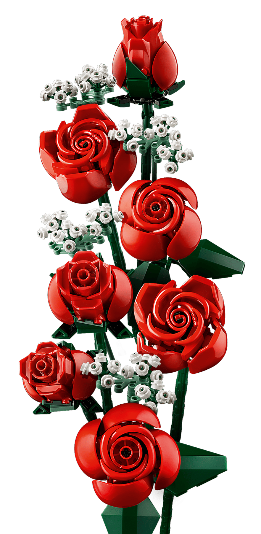 Bouquet of Roses | 10328