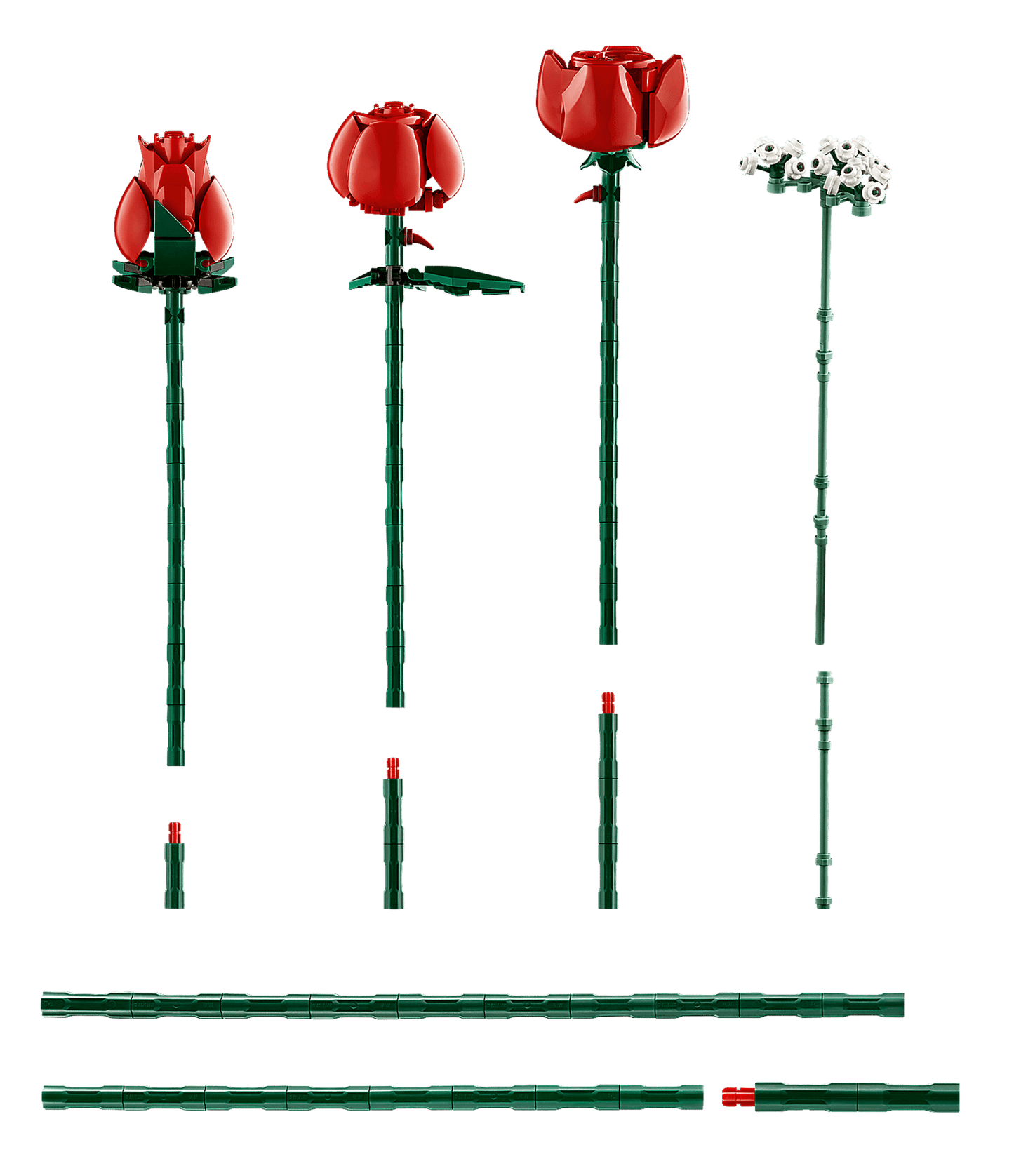 Bouquet of Roses | 10328