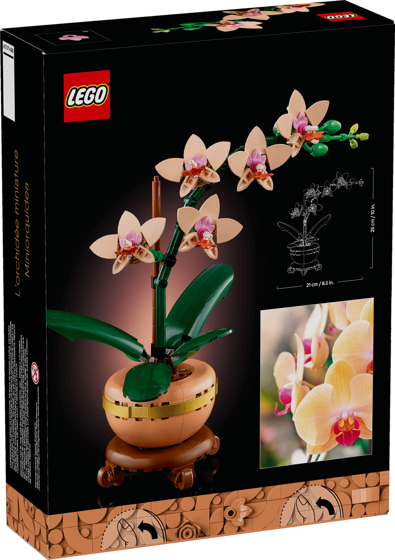 Mini Orchid | 10343