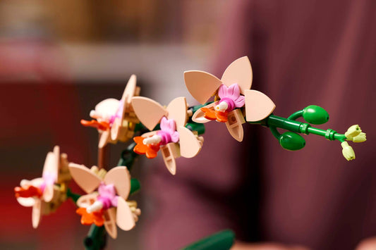Mini Orchid | 10343