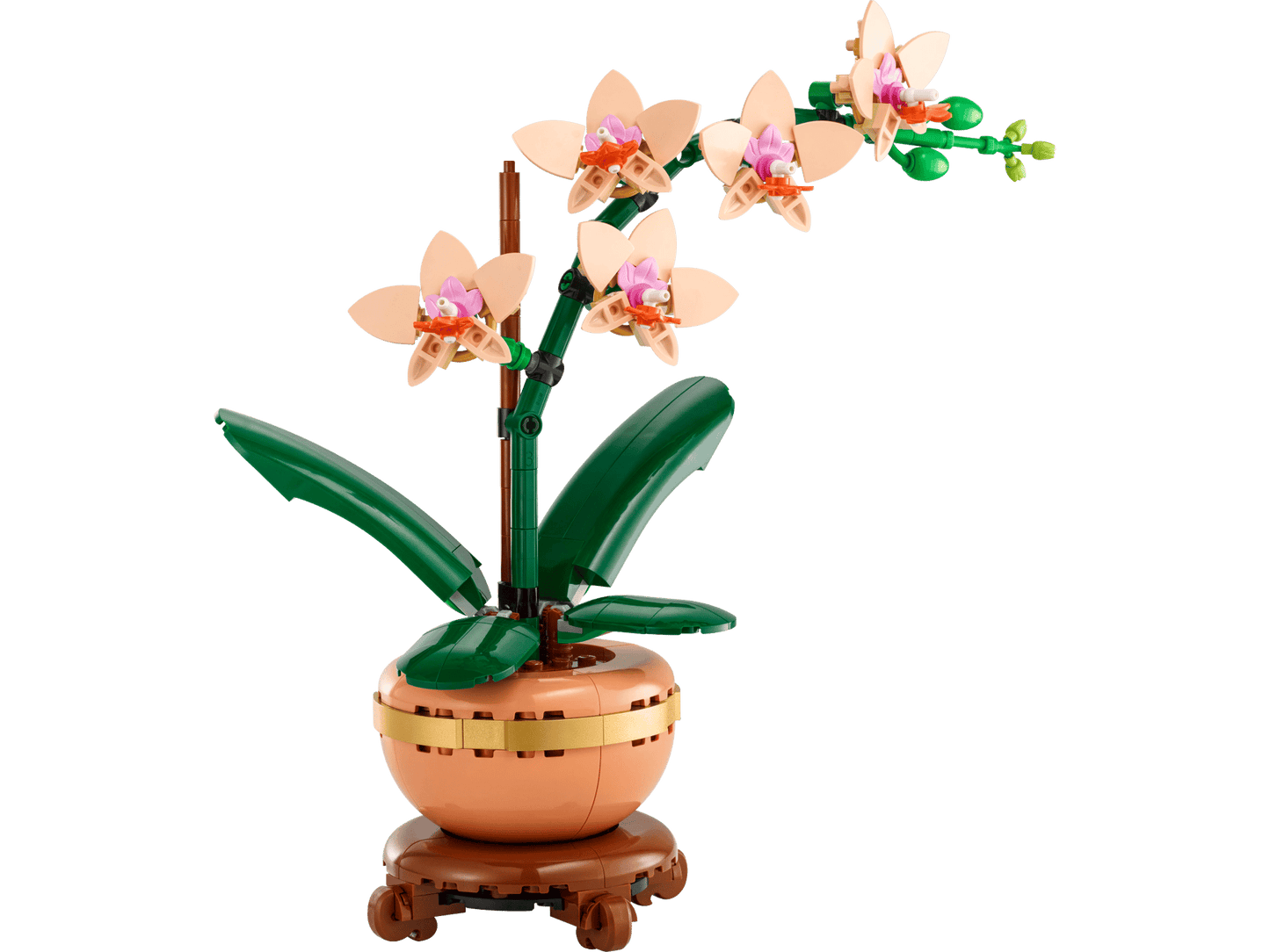 Mini Orchid | 10343