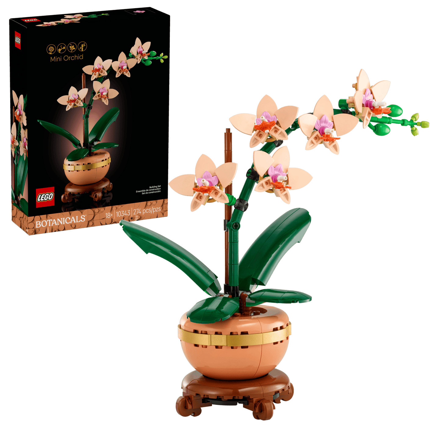 Mini Orchid | 10343