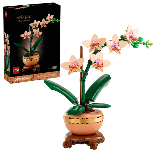 Mini Orchid | 10343