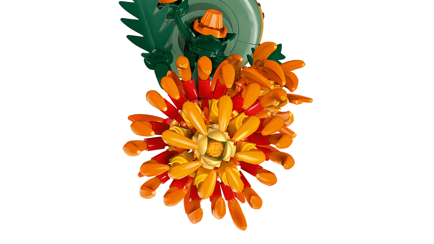 Chrysanthemum | 10368