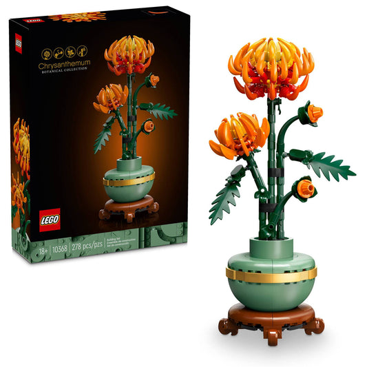 Chrysanthemum | 10368