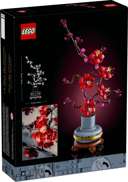 Plum Blossom | 10369