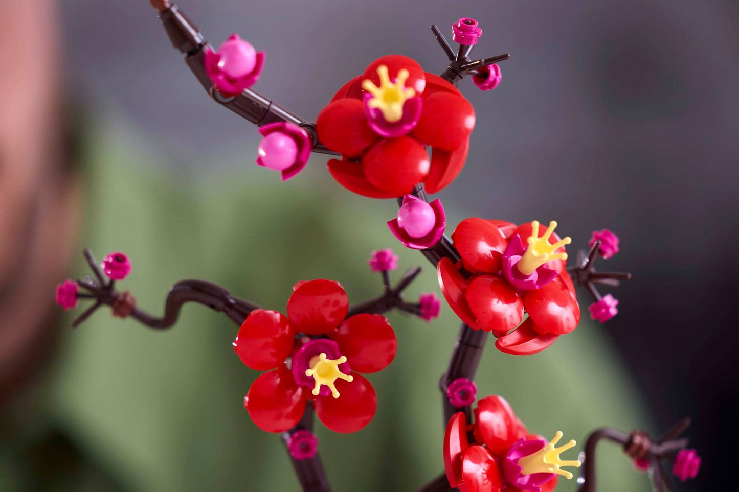 Plum Blossom | 10369
