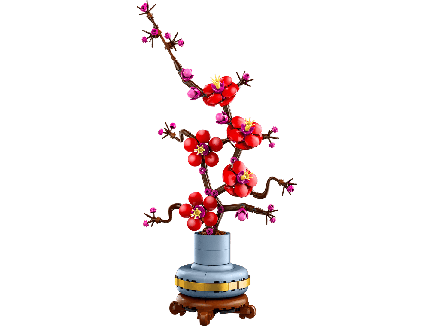 Plum Blossom | 10369
