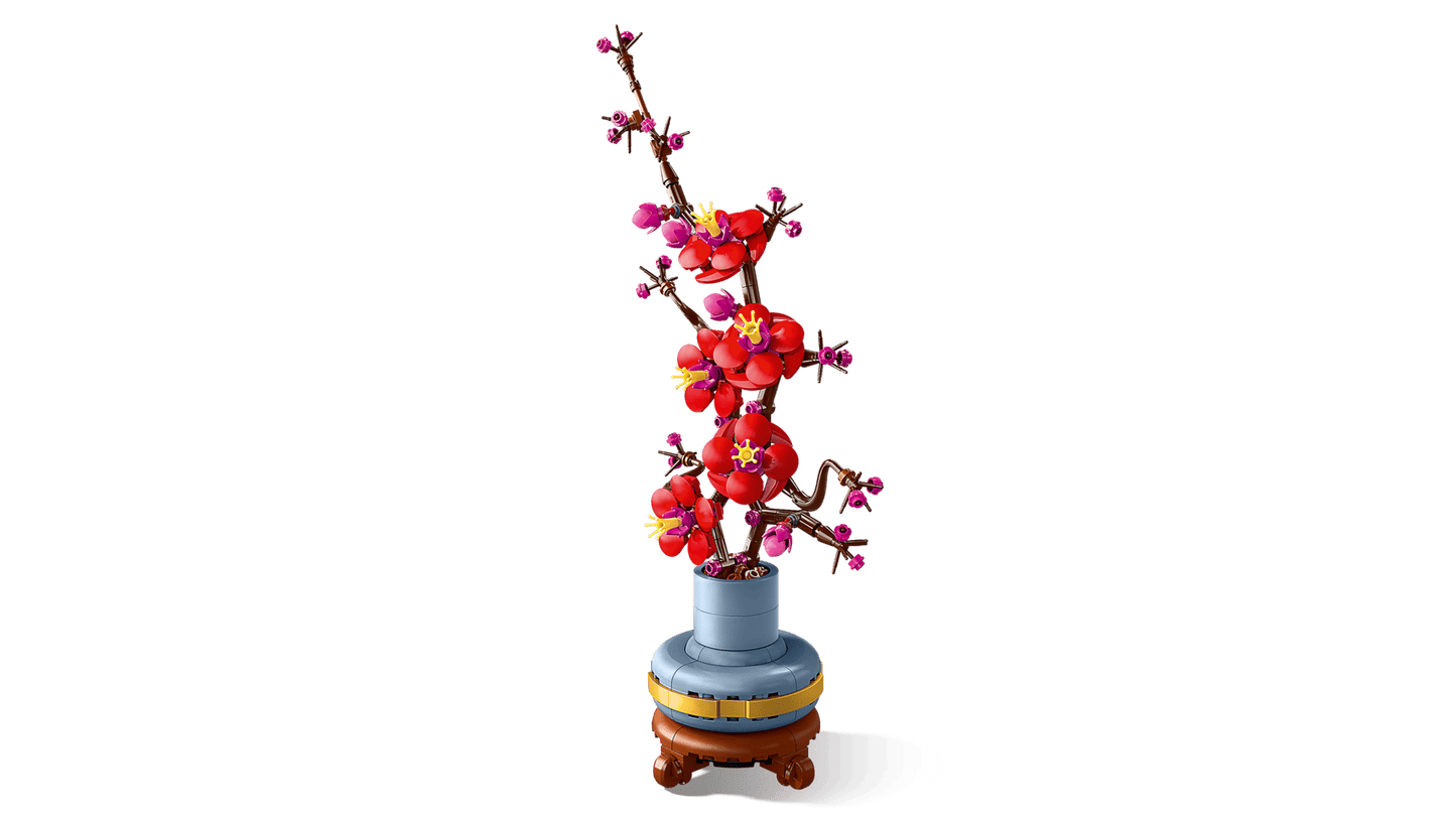 Plum Blossom | 10369