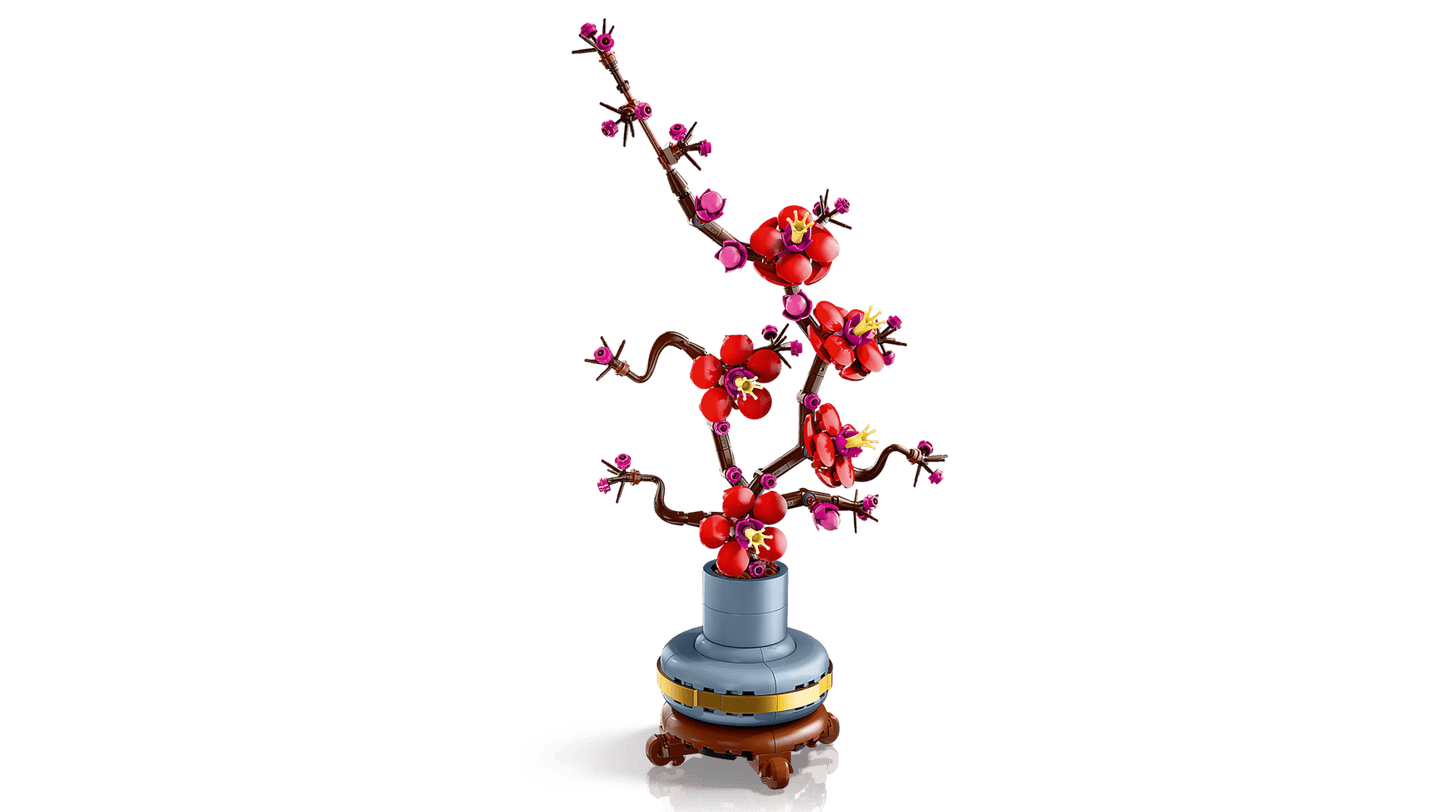 Plum Blossom | 10369
