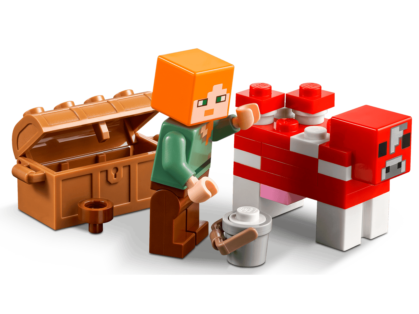 The Mushroom House | 21179