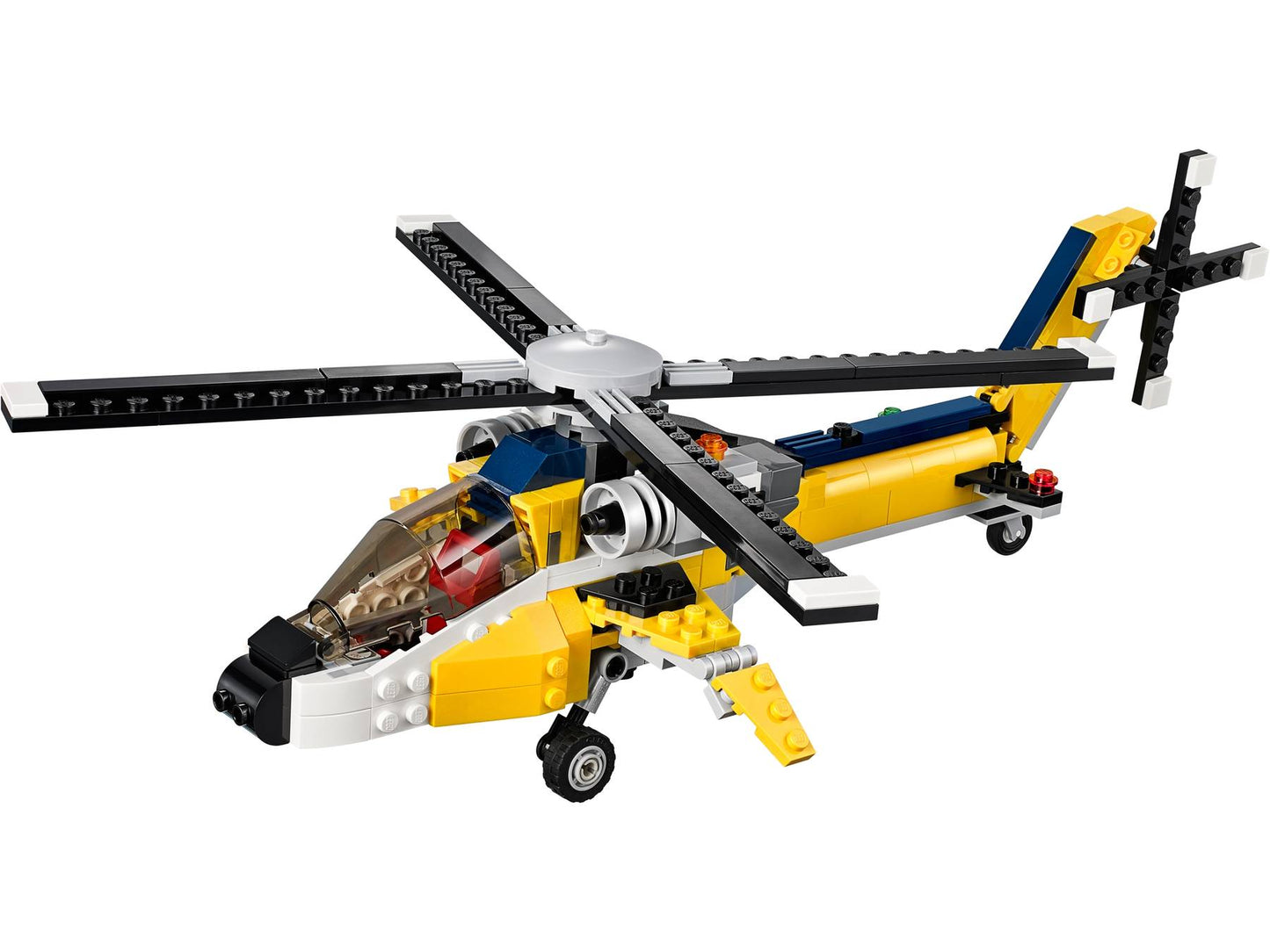 Yellow Racers | 31023