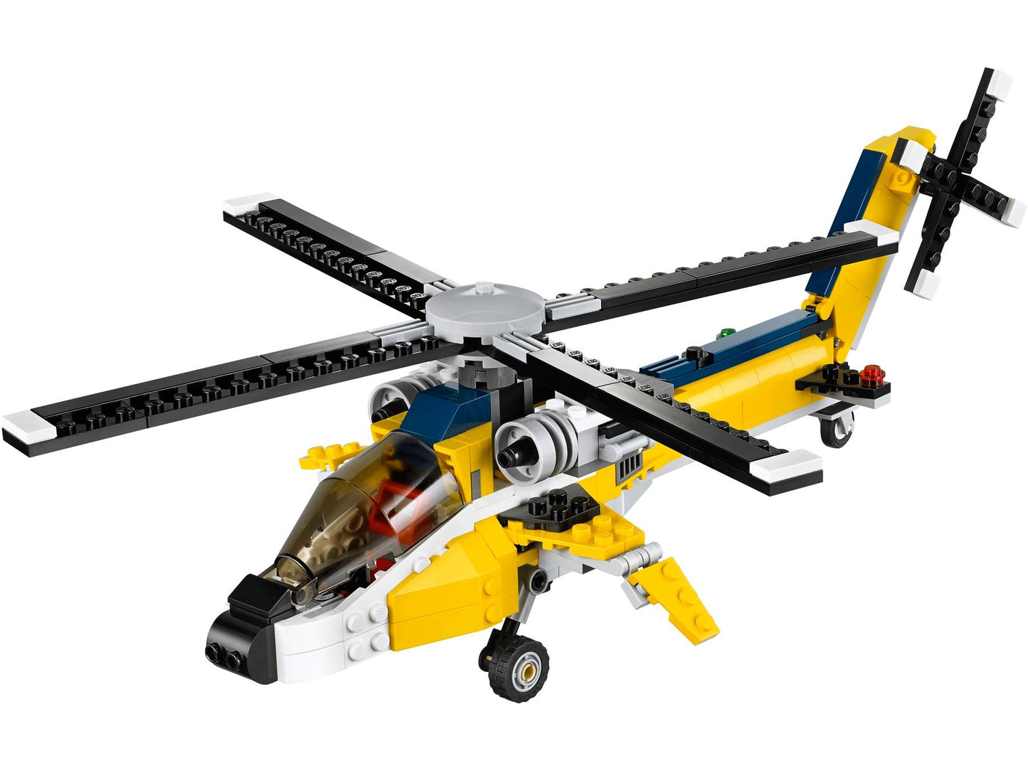 Yellow Racers | 31023