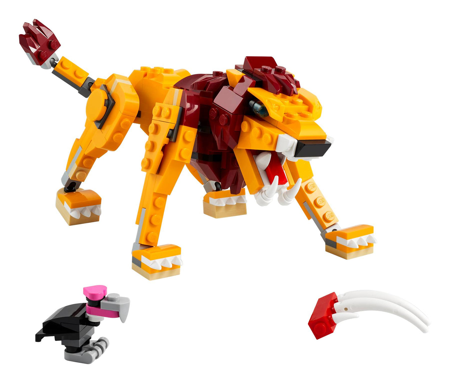 Wild Lion | 31112
