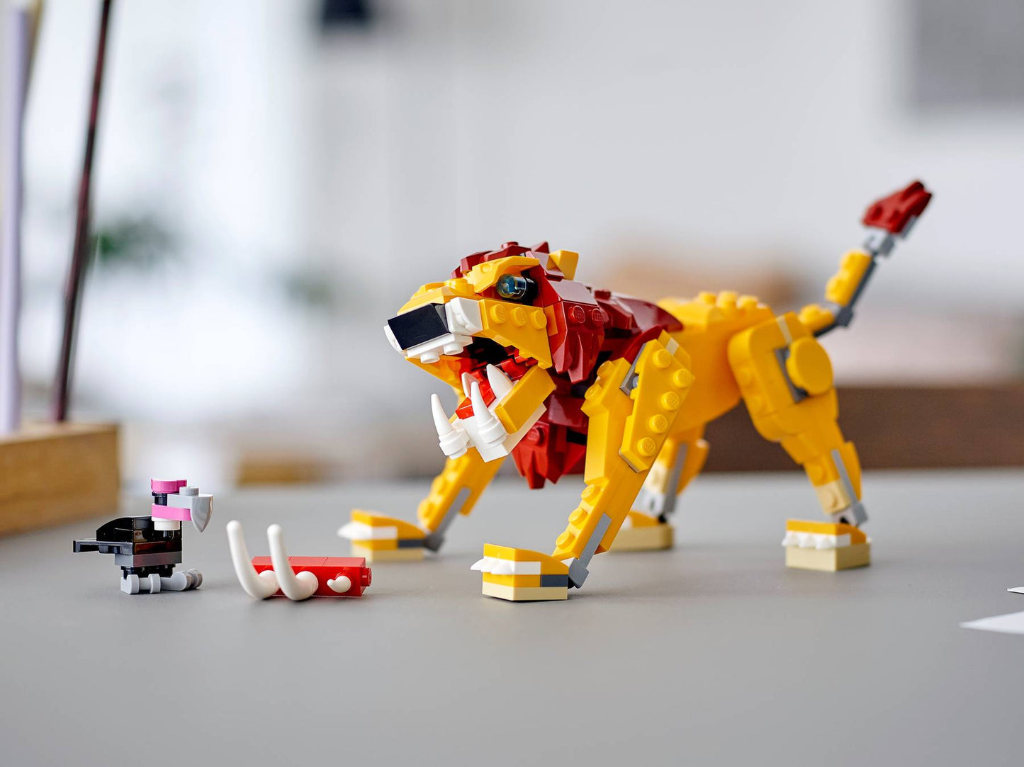 Wild Lion | 31112