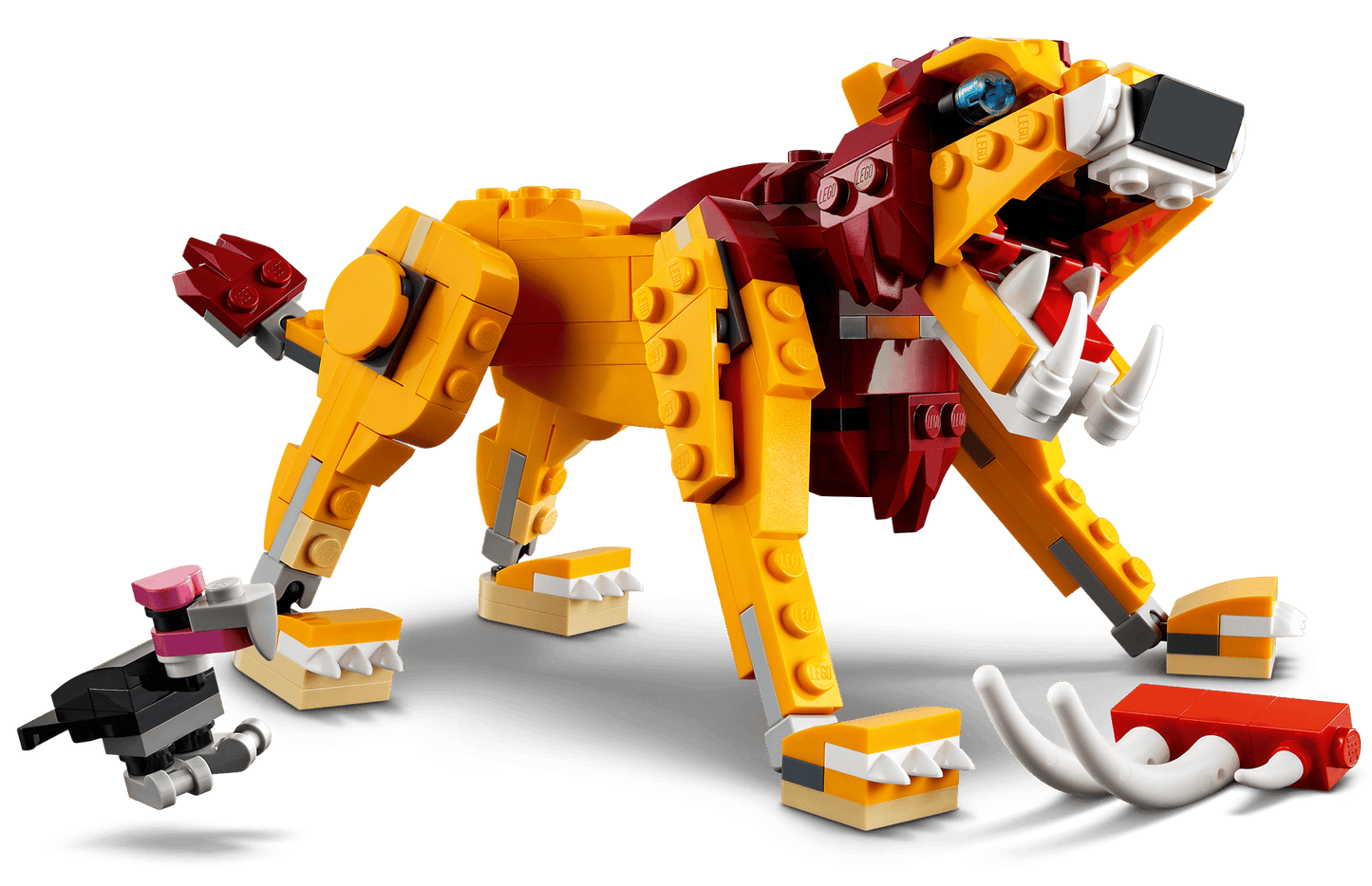 Wild Lion | 31112