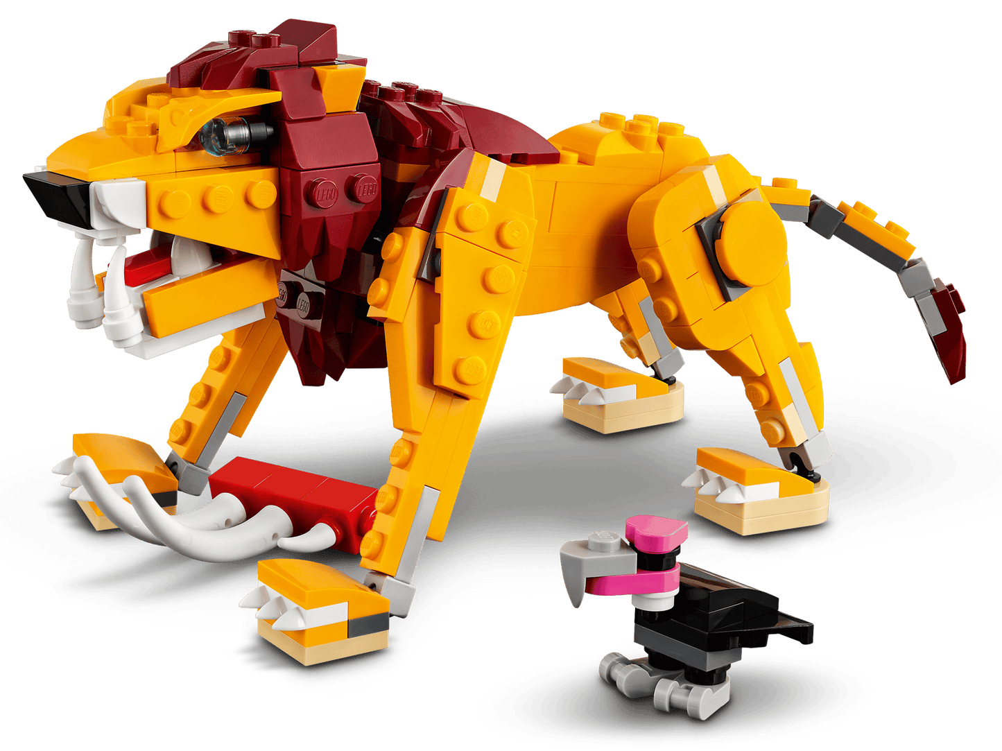 Wild Lion | 31112