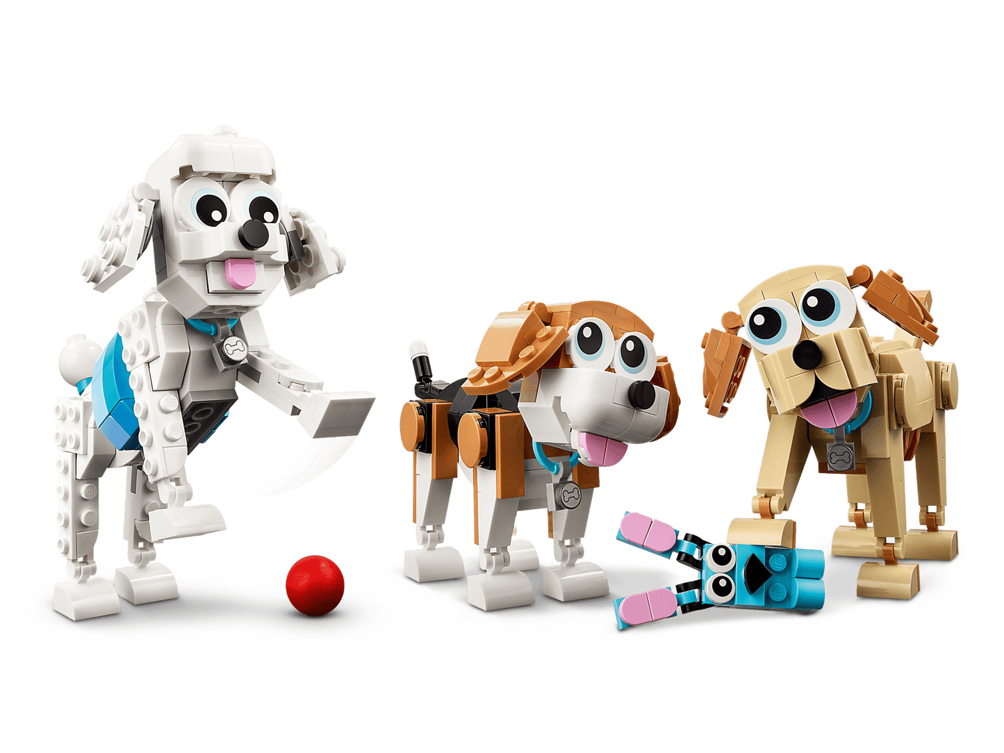 Adorable Dogs | 31137
