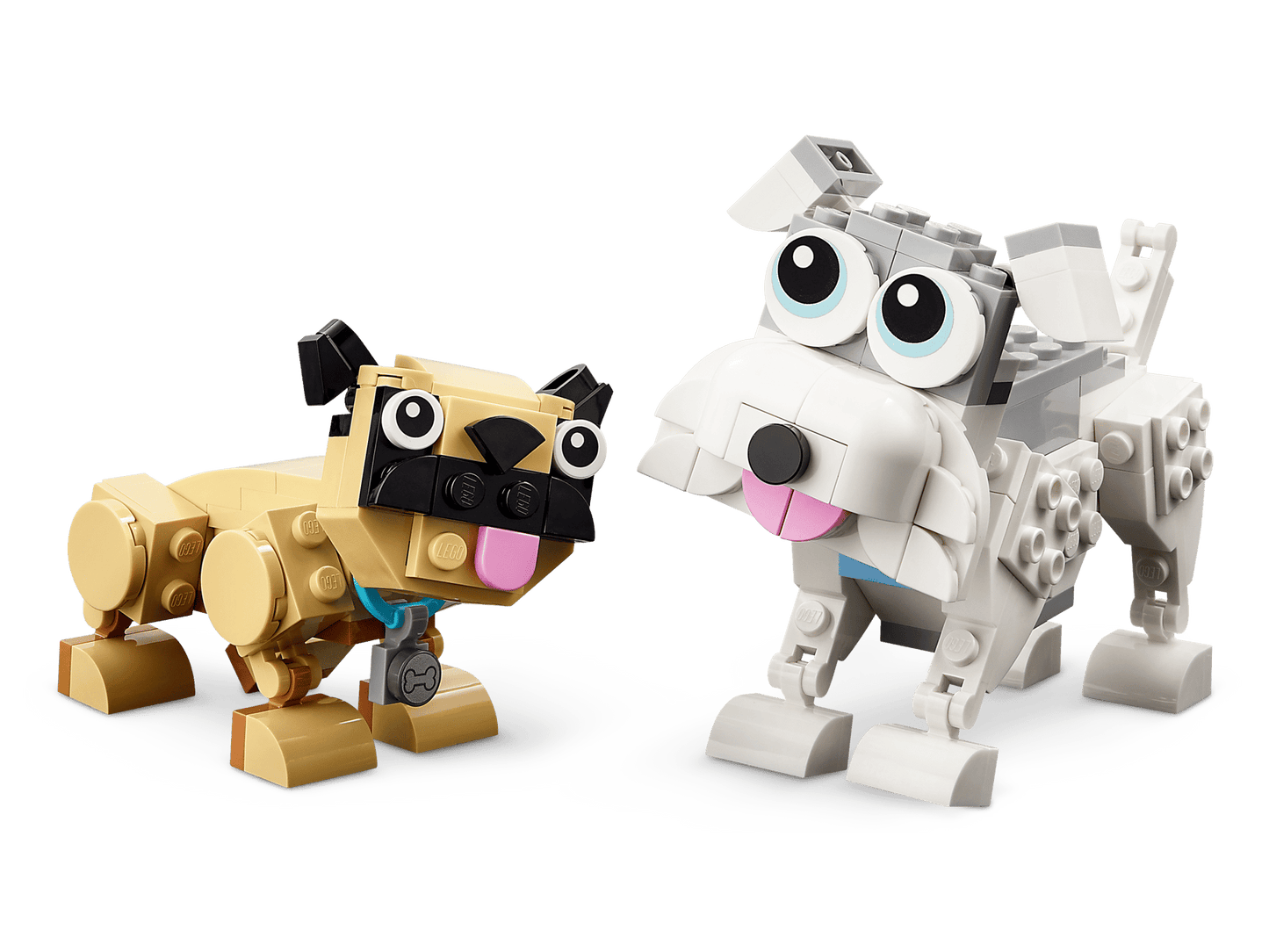 Adorable Dogs | 31137