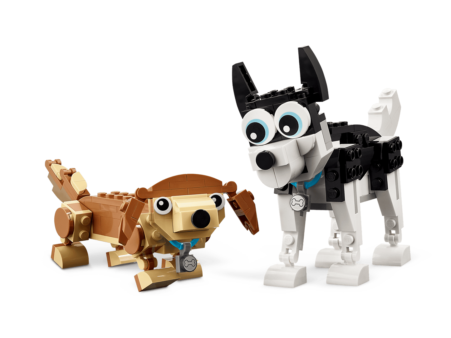 Adorable Dogs | 31137