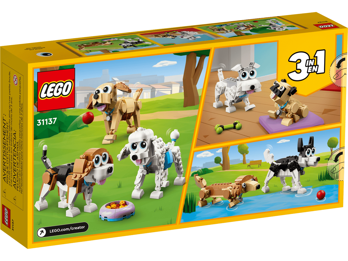 Adorable Dogs | 31137