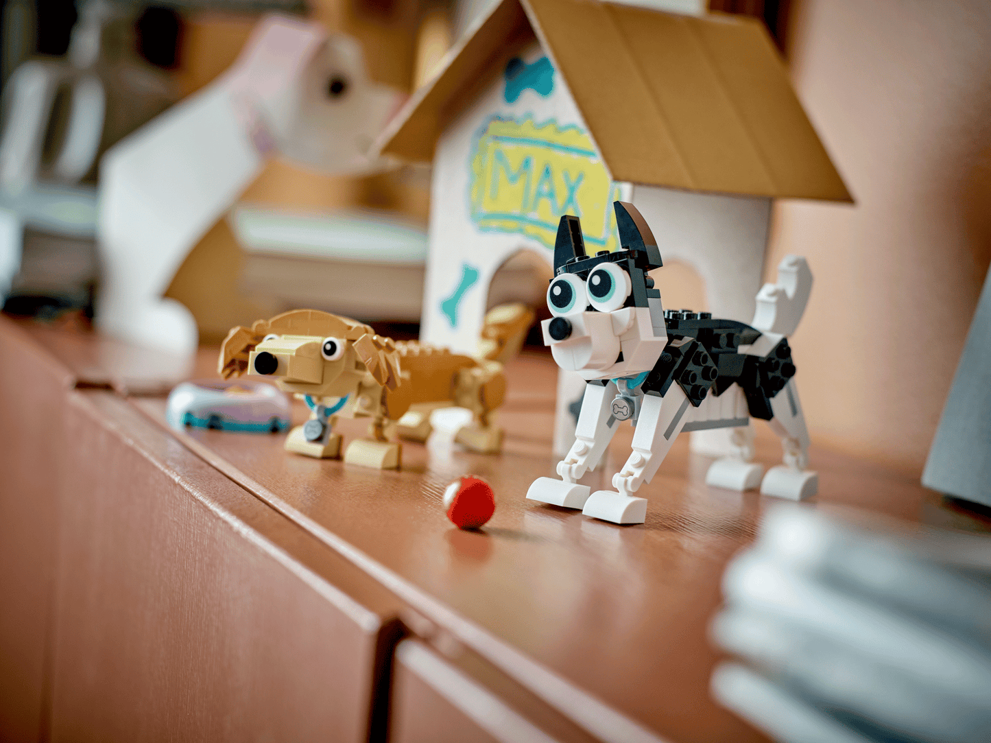 Adorable Dogs | 31137