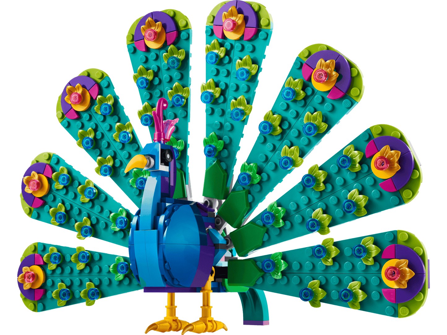 Exotic Peacock | 31157