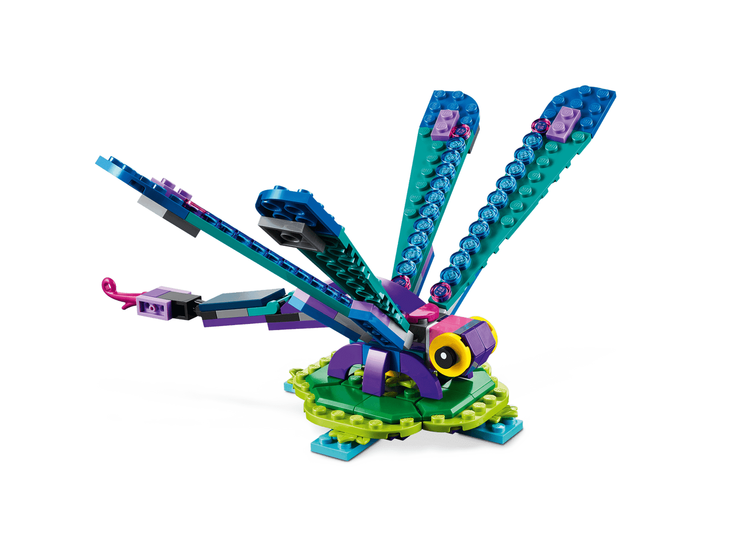 Exotic Peacock | 31157
