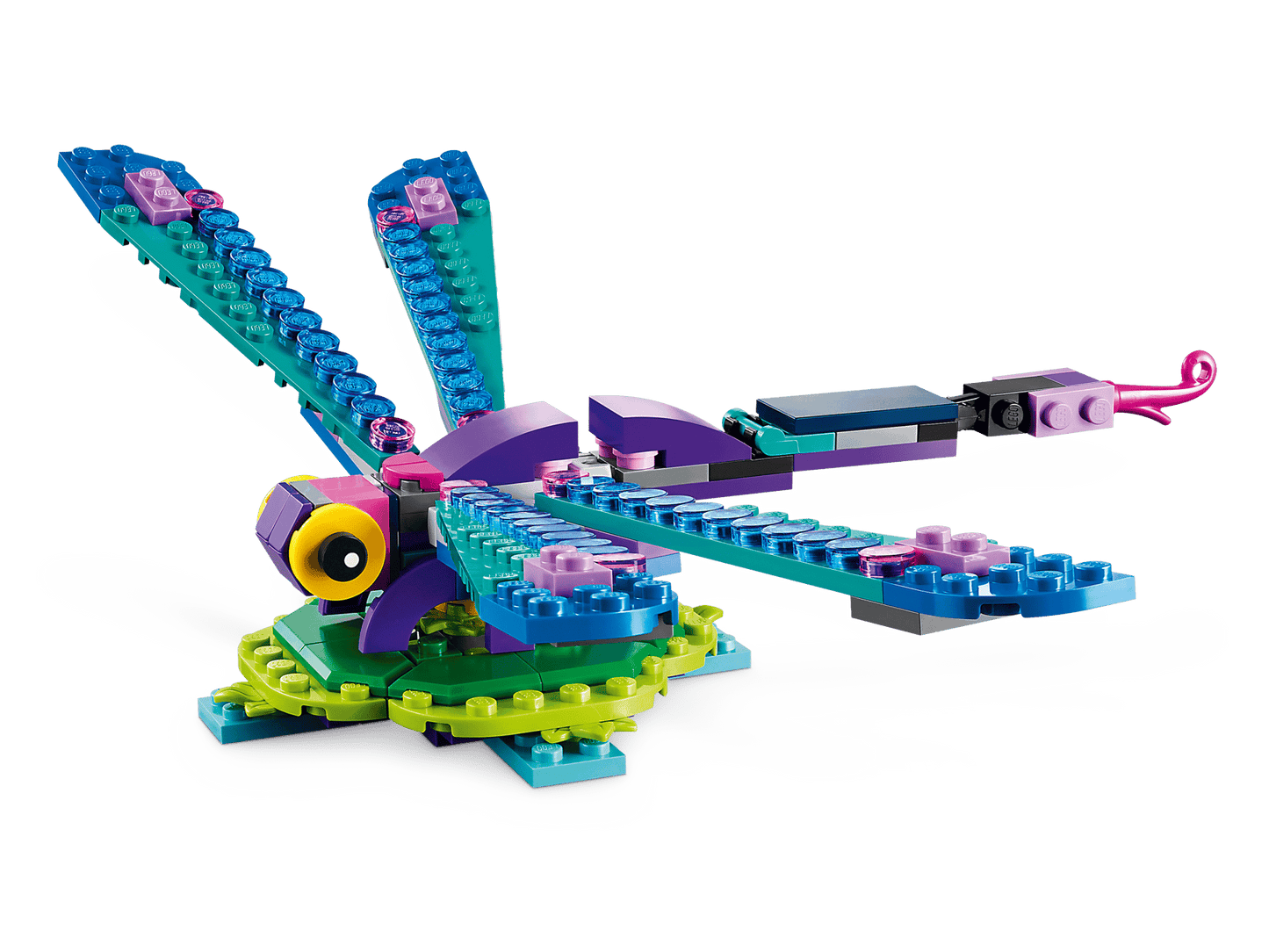 Exotic Peacock | 31157