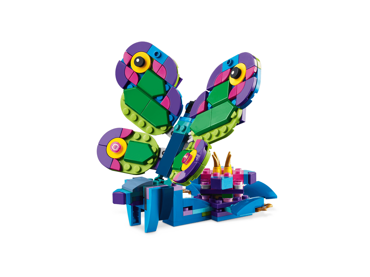 Exotic Peacock | 31157