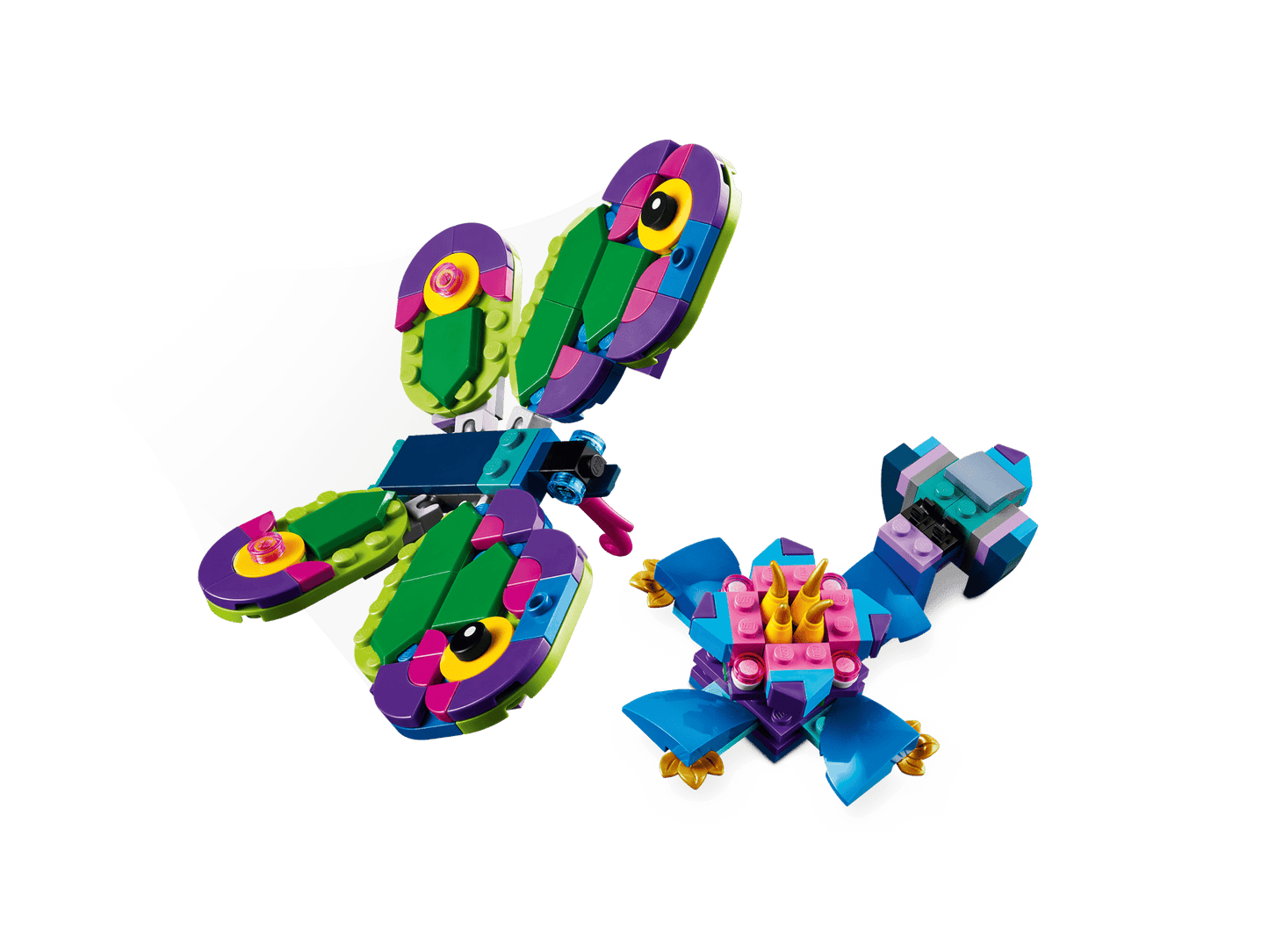 Exotic Peacock | 31157