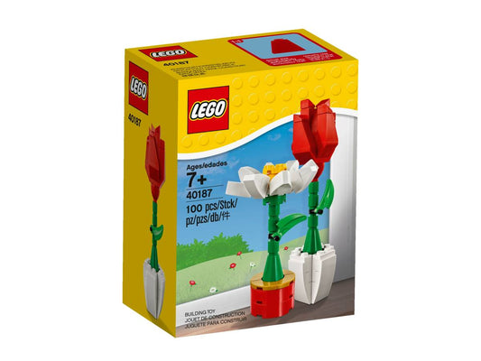 LEGO® Flower Display | 40187