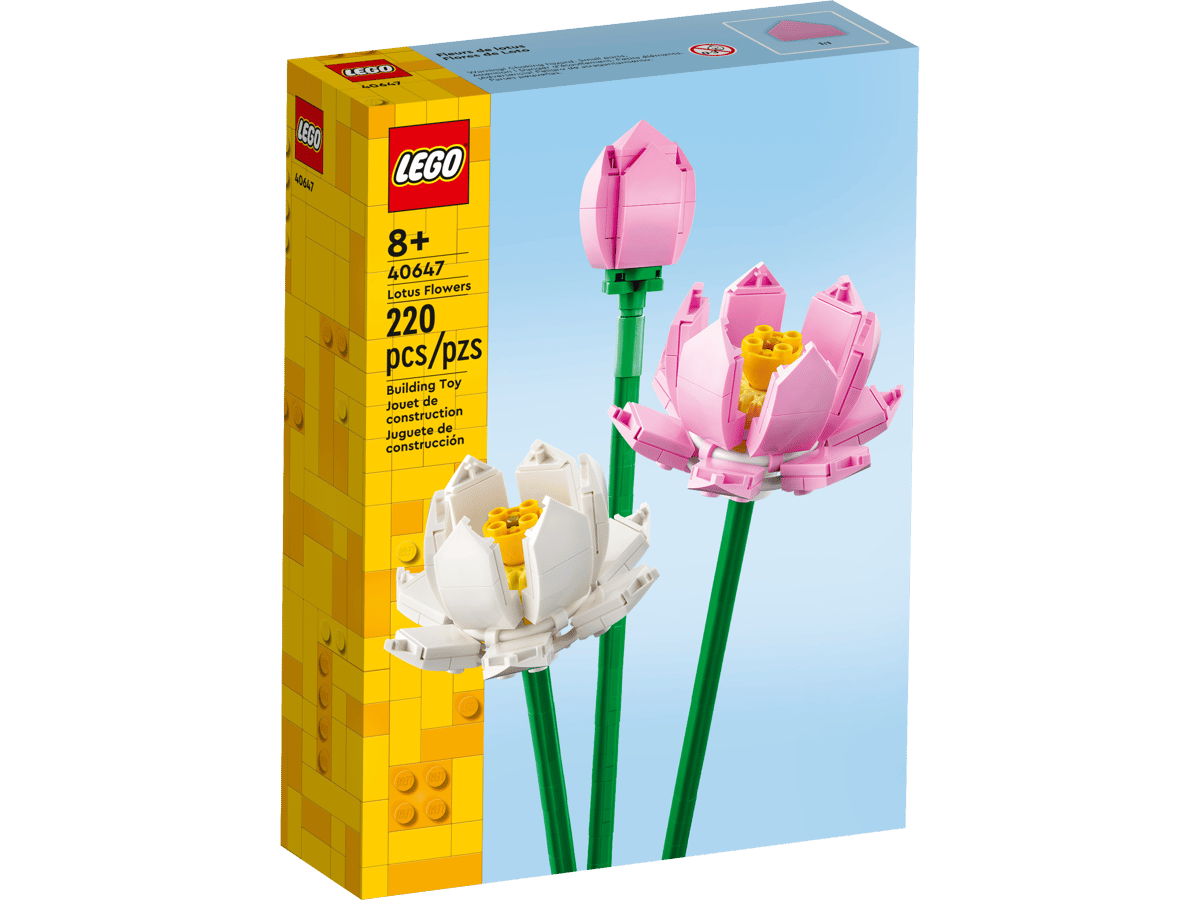 Lotus Flowers | 40647