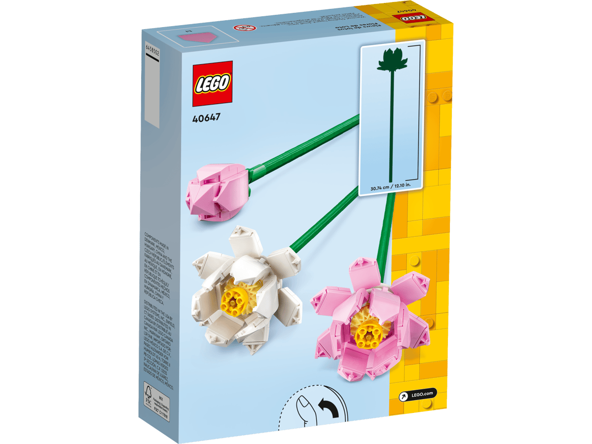 Lotus Flowers | 40647