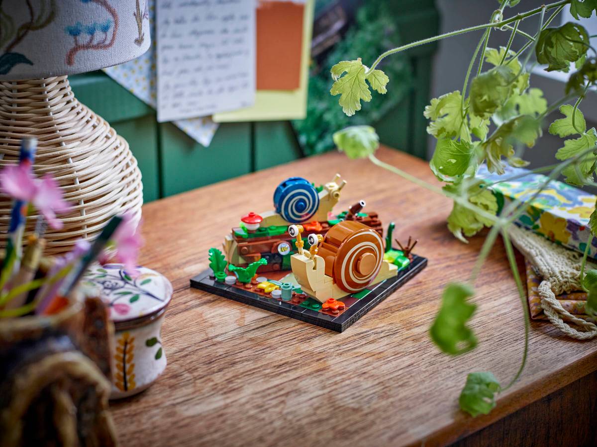 Friendly Snails | 40788