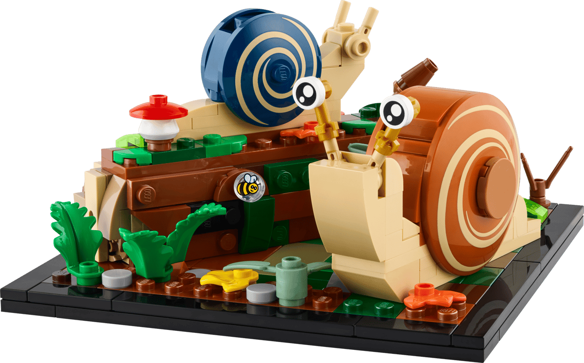 Friendly Snails | 40788