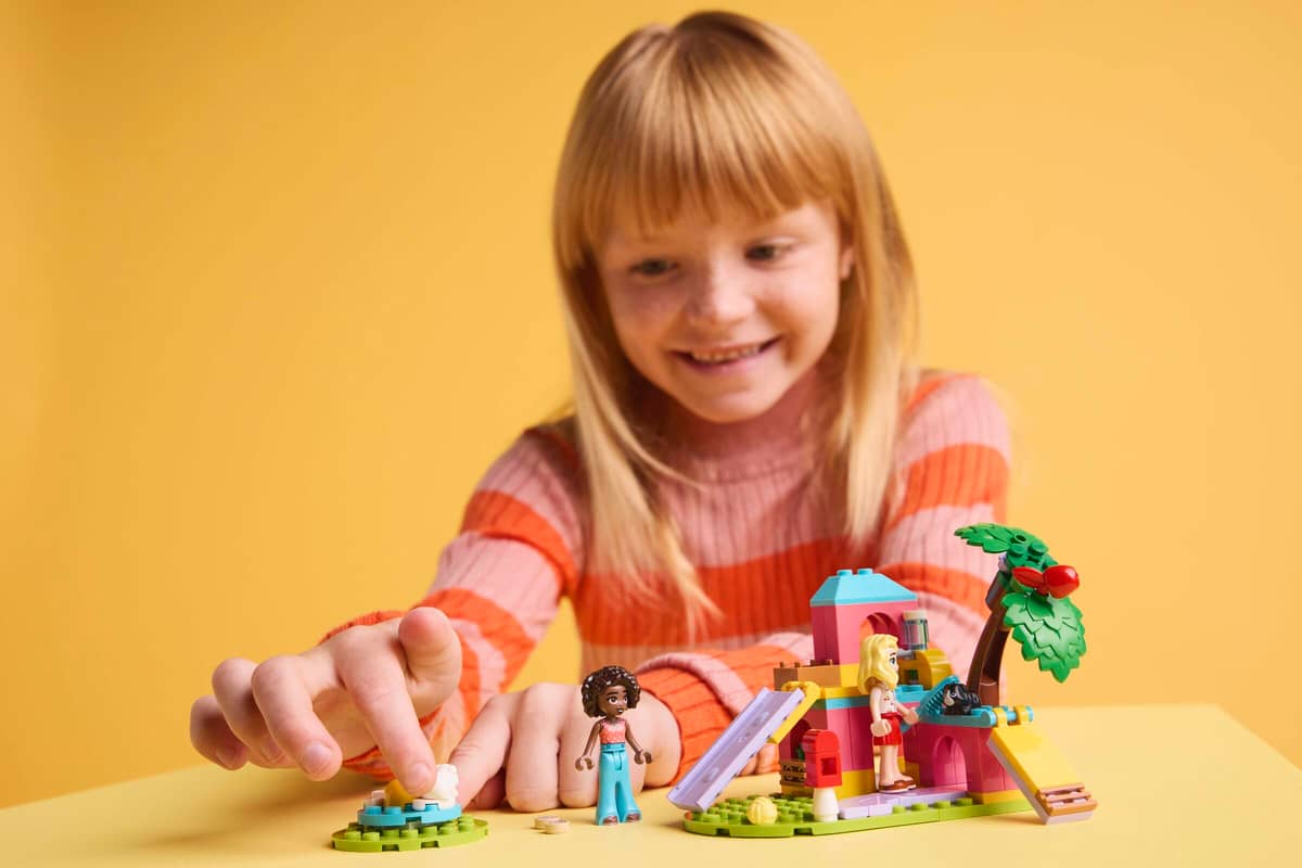 Guinea Pig Playground | 42640
