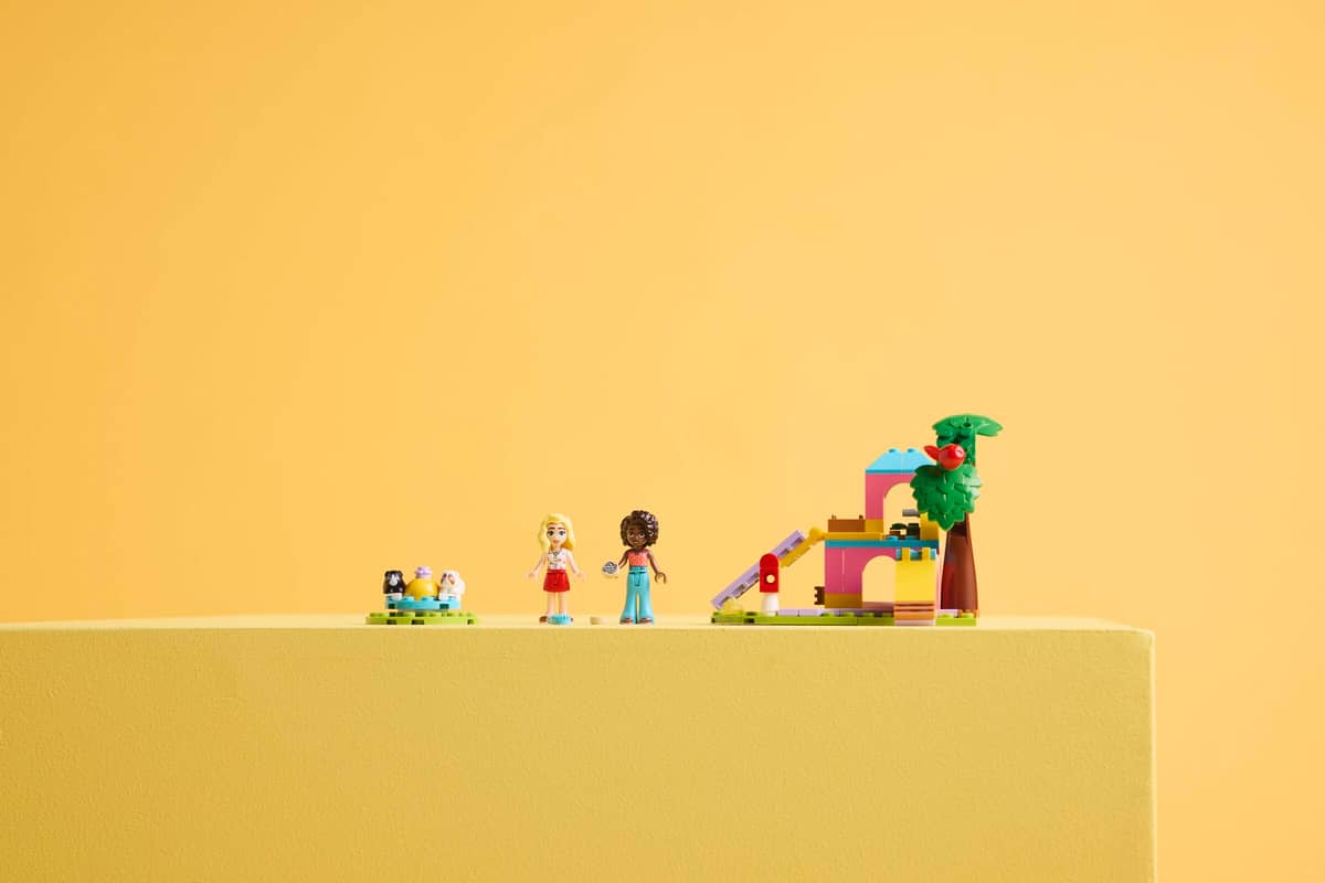 Guinea Pig Playground | 42640