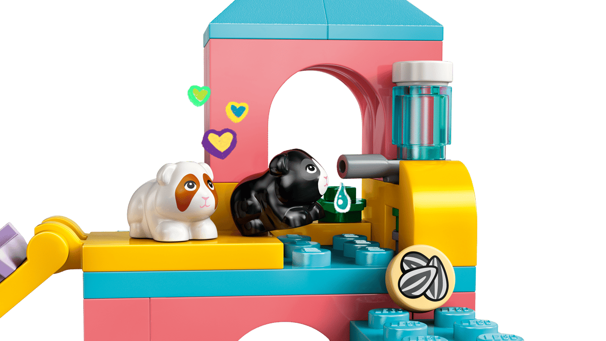 Guinea Pig Playground | 42640