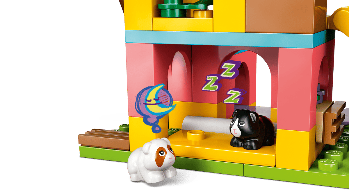 Guinea Pig Playground | 42640