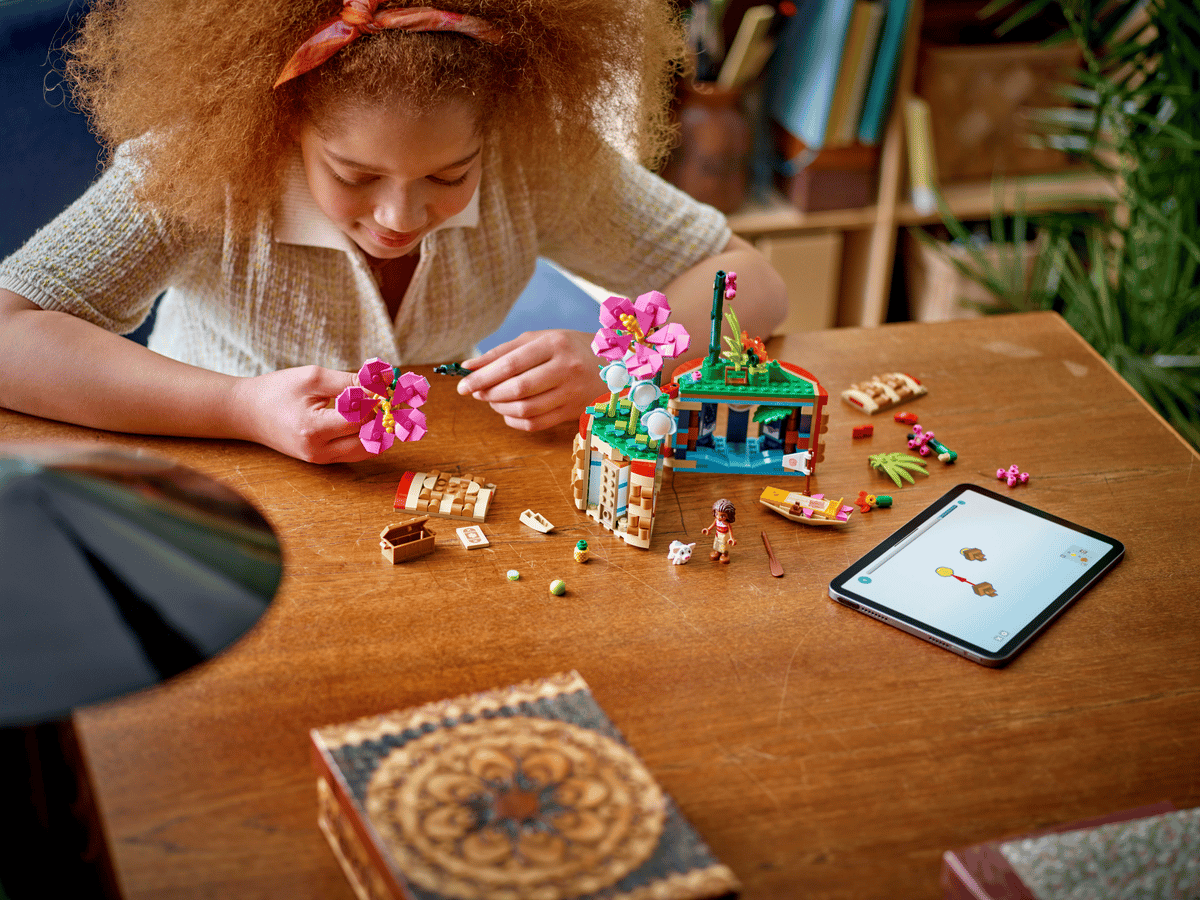 Moana's Flowerpot | 43252