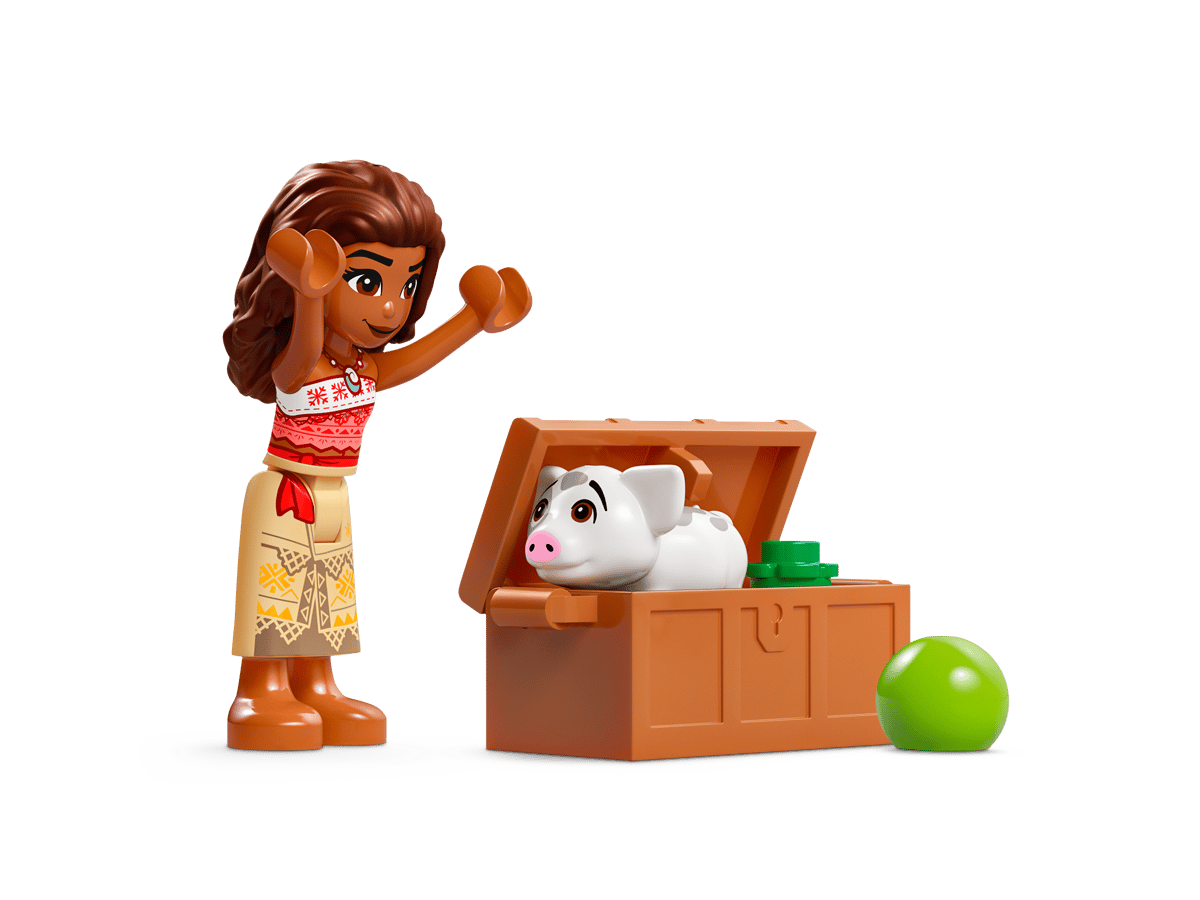 Moana's Flowerpot | 43252