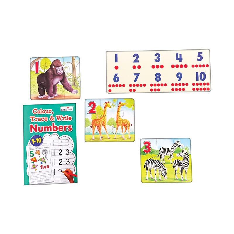 Creative Count & Learn Numbers